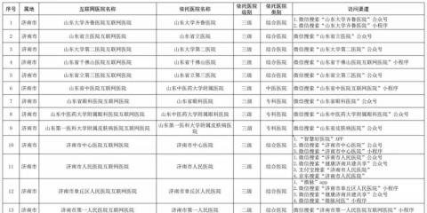 截至2022-12-12山东省拥有174家互联网医院